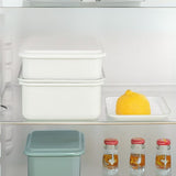 Riess Enamel Food Container