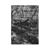 Wilderness Journal Volume 2