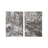 Wilderness Journal Volume 2