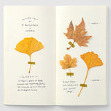 Traveler's Notebook Refill - Blank Cream - simplebeautifulthings