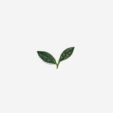 lovetea-greentea-ingredients-Simple-Beautiful-Things