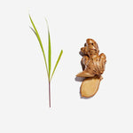 lovetea-lemongrassandginger-ingredients-Simple_Beautiful_Things