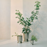 Palm Springs Planter - Nickel