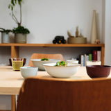 Alongu Bowl 20cm Tenmoku Brown