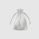 Baggu Pleated Baggu - Chrome Metallic_Simple_Beautiful_Things