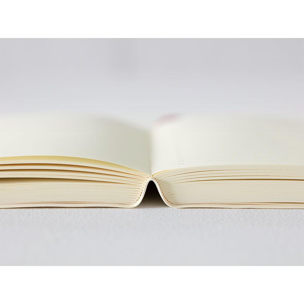 Midori MD - 2024 Diary A6 Day per Page