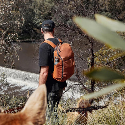 Bellroy Venture Ready Pack 26L -Black