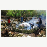 Out of the Jar - Crafted spirits and liquors