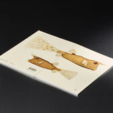 Paper Republic Notebook Dybdahl Two Fishes - Dotted