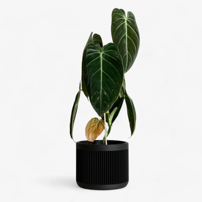 minimum-design-planter-japan-12-simple-beautiful-things