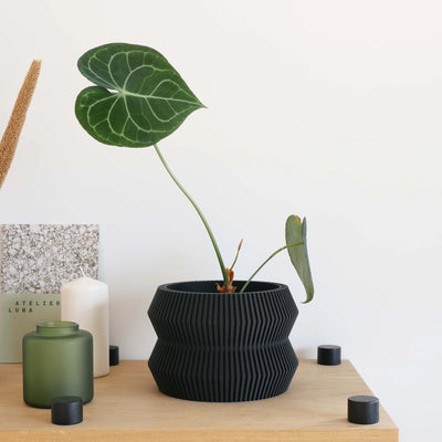 Indoor Planter - Ito - Black 12cm