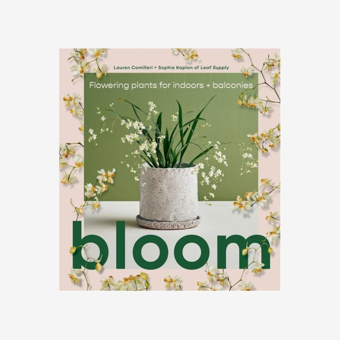 Bloom_Simple_Beautiful_Things