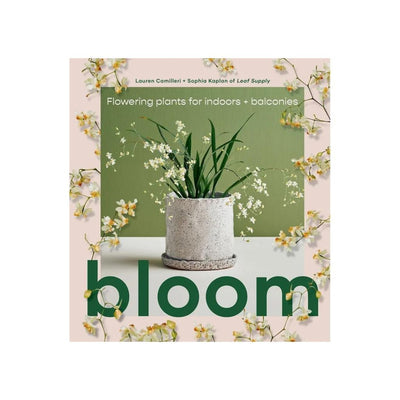Bloom- Flowering plants for indoors and balconies