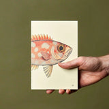 Paper Republic Notebook Dybdahl Orange Fish - Blank