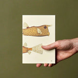 Paper Republic Notebook Dybdahl Two Fishes - Dotted