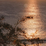 Etikette Room Mist FREYCINET - Coastal Moss & Sea Salt