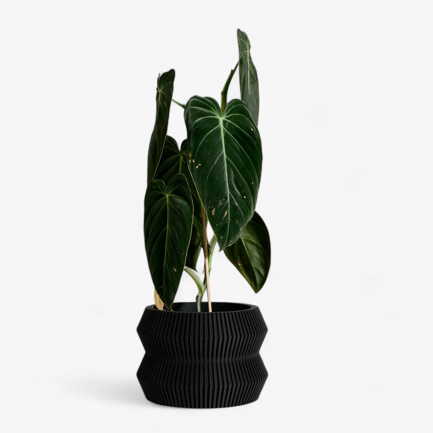 Minimum-design-planter-ito-black-simple-beautiful-things