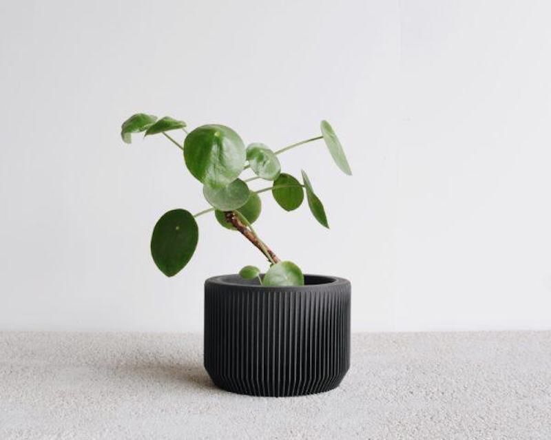 Indoor Planter - Praha 12cm