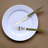 Sabre Cutlery Bistro 4 Piece - Green Fern