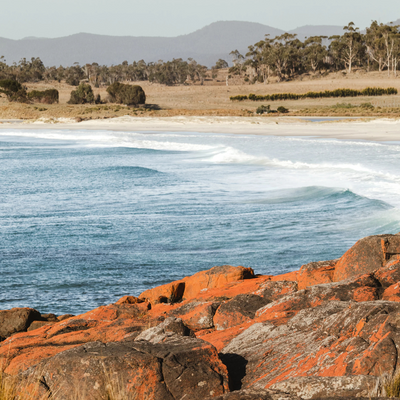 Waverley Mills Wool Throw Terrain - Bay Of Fires