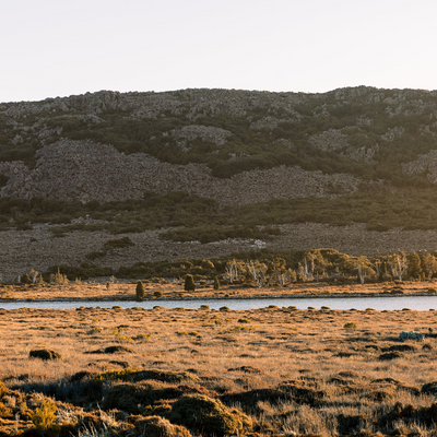 Waverley Mills Wool Throw Terrain - Cradle Mountain