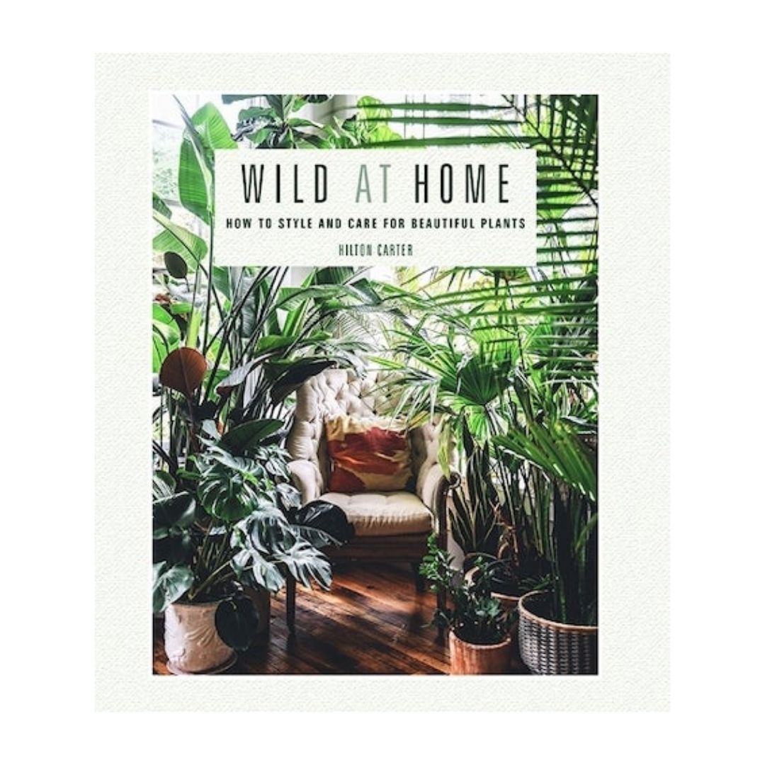Wild_at_home_simple_beautiful_htings