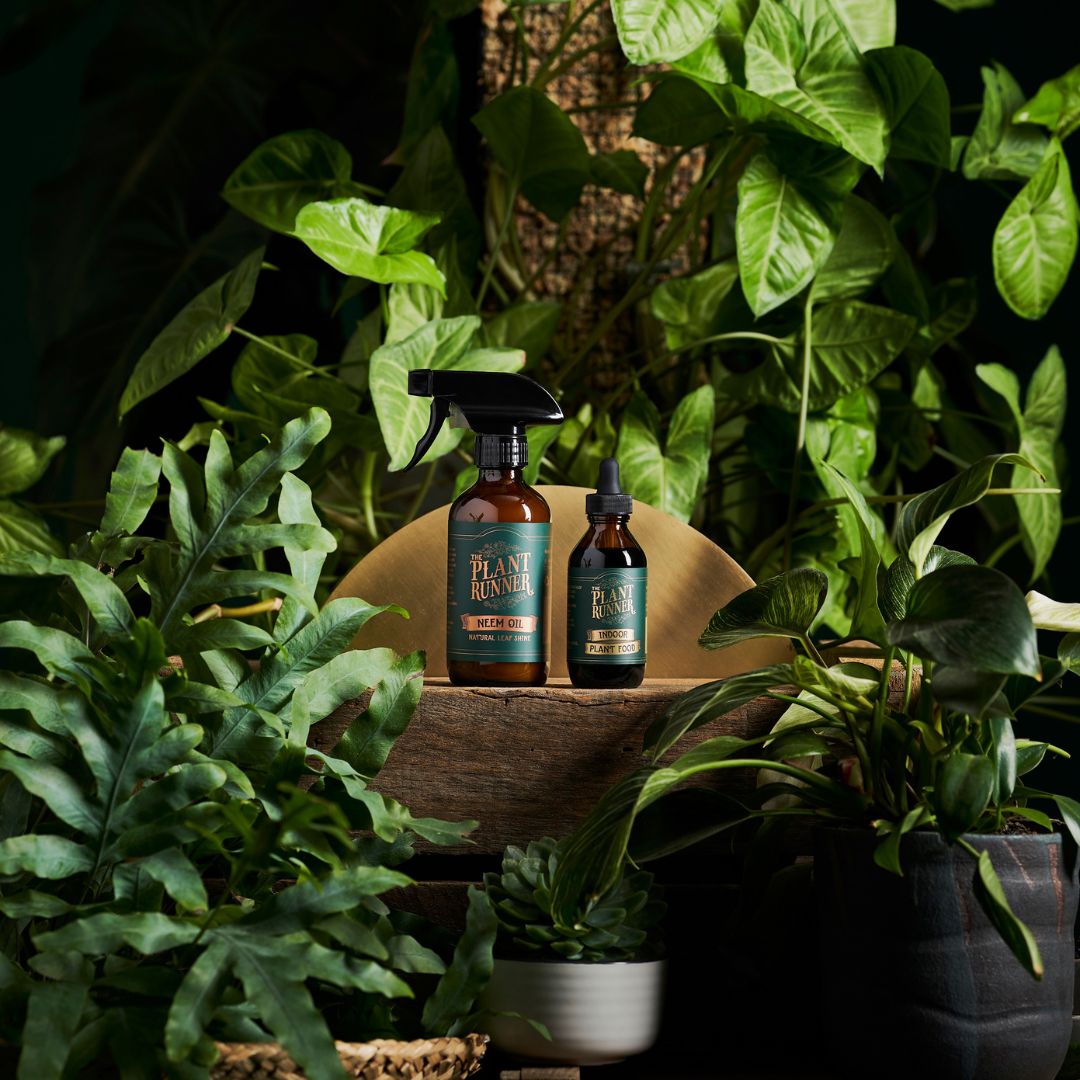 The Plant Runner Plant Care Essentials Kit