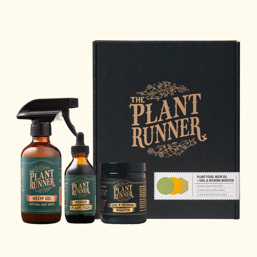 The Plant Runner Plant Care Booster Kit_Simple_Beautiful_Things