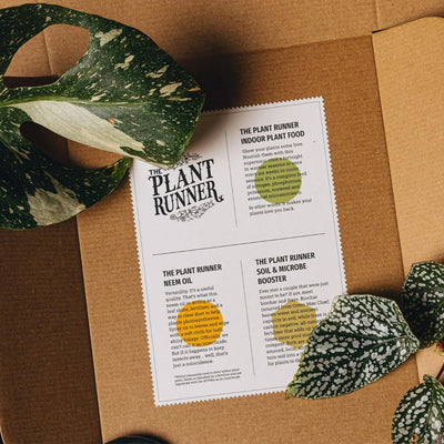 The Plant Runner Plant Care Booster Kit