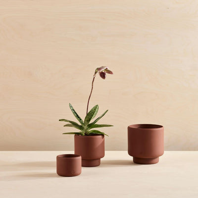 Botany Porcelain Plant Pot- Medium_Simple_BEautiful_Things