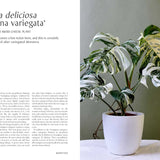 Book_Plantopedia_Inside_Simple_Beautiful_Things