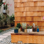 Hasami-Planters-Lifestyle-Simple-Beautiful-Things