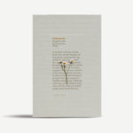 Love Tea Chamomile 50_Simple_Beautiful_Things