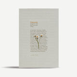 Love Tea Chamomile 50_Simple_Beautiful_Things