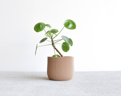 Indoor Planter - Lotus - Natural 12cm