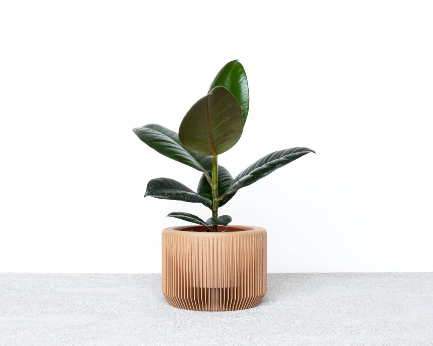 MDIndoorPotsPRAHA-Simple-Beautiful-Things