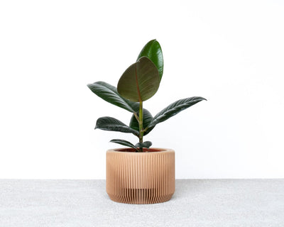 MDIndoorPotsPRAHA-Simple-Beautiful-Things