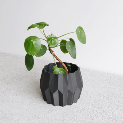 Indoor Planter - Tokyo - Black - 12cm