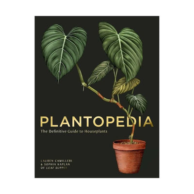 Plantopedia - Guide to house plants
