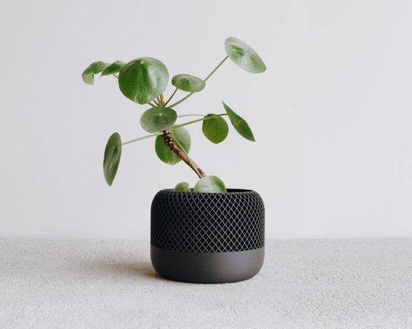 Indoor_planter_apple_black_simple_beautiful_things
