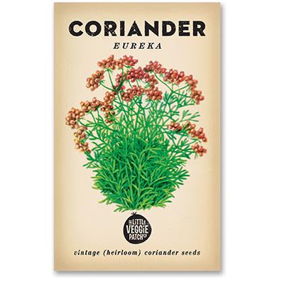The_Little_Veggie_Patch_Co_Coriander_Simple_Beautiful_Things