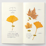 Traveler's Notebook Refill - Blank Cream - simplebeautifulthings