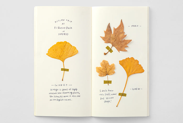 Traveler's Notebook Refill - Blank Cream - simplebeautifulthings