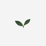 lovetea-greentea-ingredients-Simple-Beautiful-Things