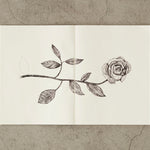 Midori MD Notebook - A5 blank - simplebeautifulthings